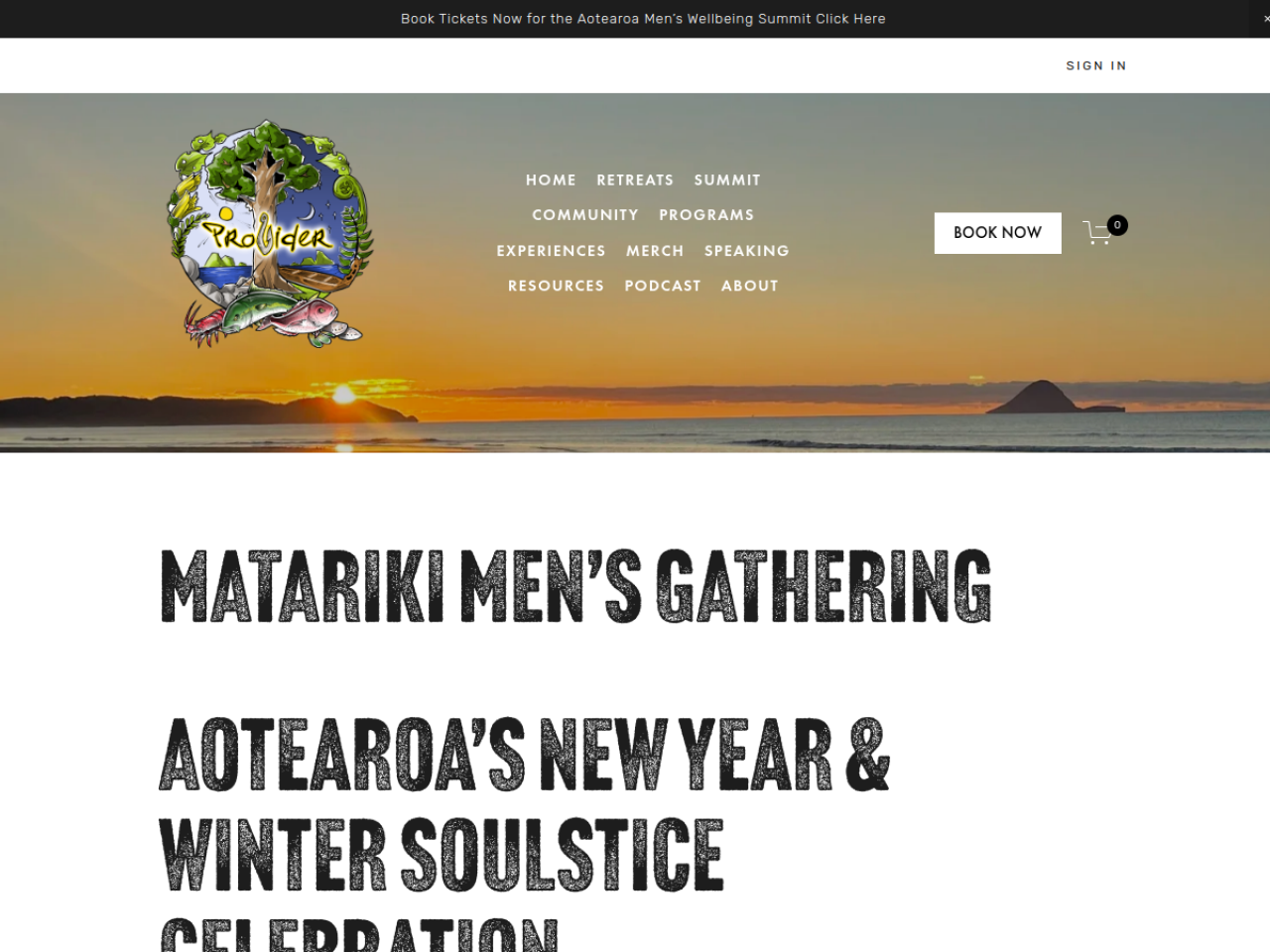 Matariki Men's Gathering website