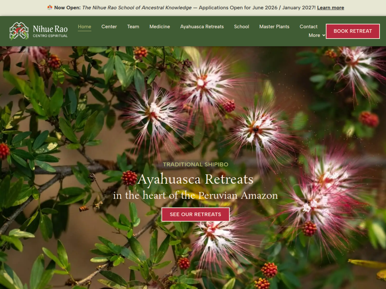 Nihue Rao Centro Espiritual website